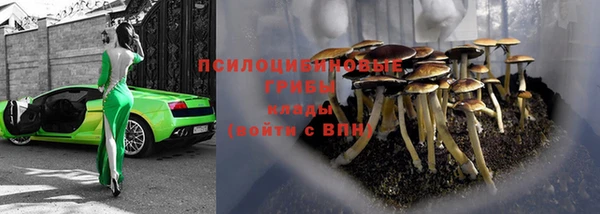 героин Алзамай