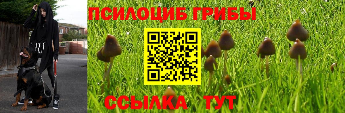 Чебаркуль  Галлюциногенные грибы GOLDEN TEACHER  Вход с VPN 